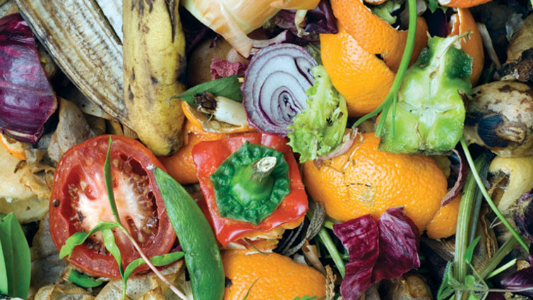 Lewisham council is urging residents to use their food waste bins