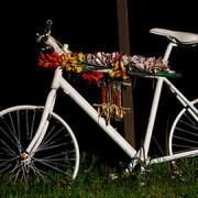 Cycling deaths last year led to protests Pic: Sam Catanzaro