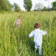 Children play in a meadow Pic: Rose Anna Dana