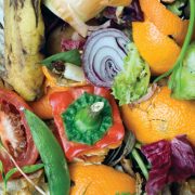 Lewisham council is urging residents to use their food waste bins